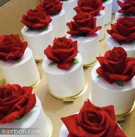 دکور ولنتاین برای عکاسی