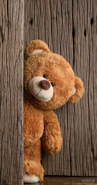 عکس خرس عروسکی برای پروفایل واتساپ