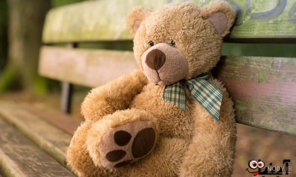  عکس خرس عروسکی برای پروفایل واتساپ