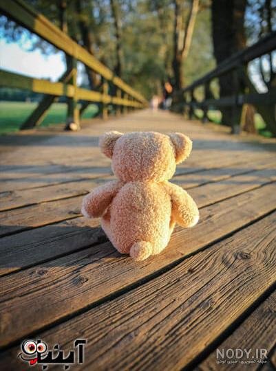 عکس دختر با خرس عروسکی برای پروفایل