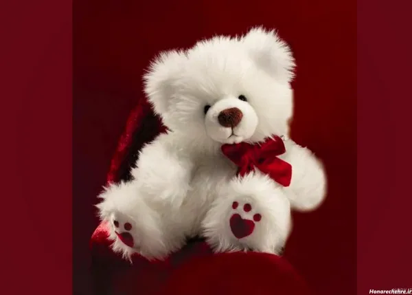  عکس خرس فانتزی بامزه