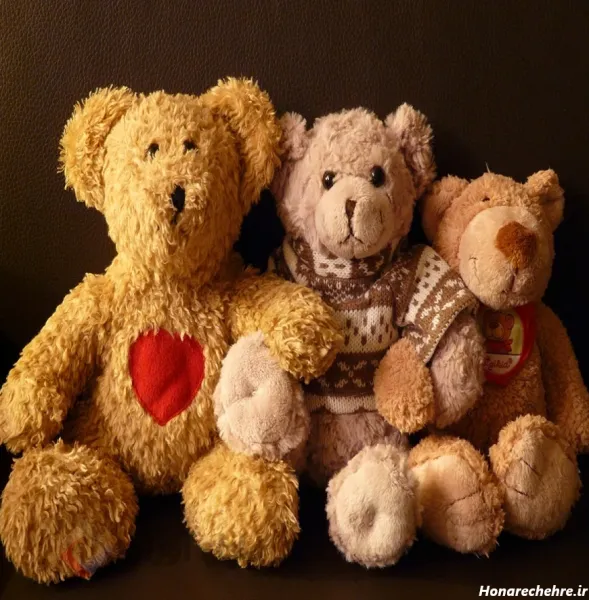  عکس خرس فانتزی بامزه