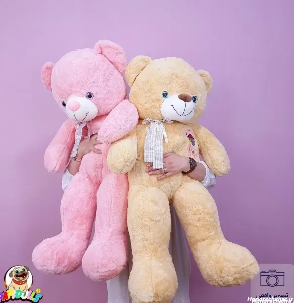  عکس خرس فانتزی بامزه