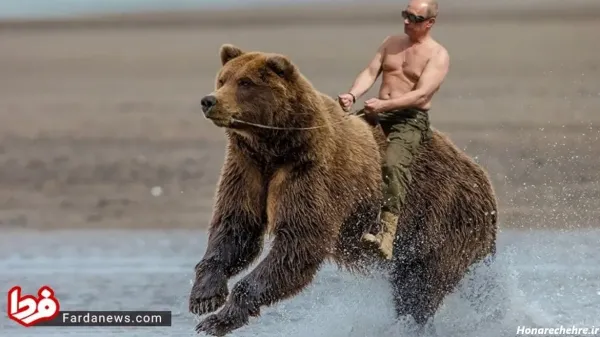  عکس خرس کیوت واقعی