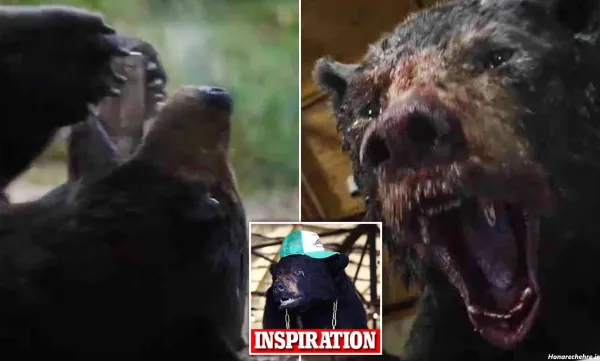  عکس خرس کیوت واقعی