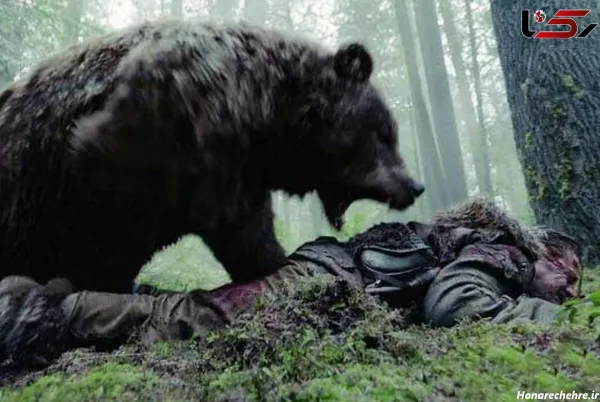  عکس خرس کیوت واقعی