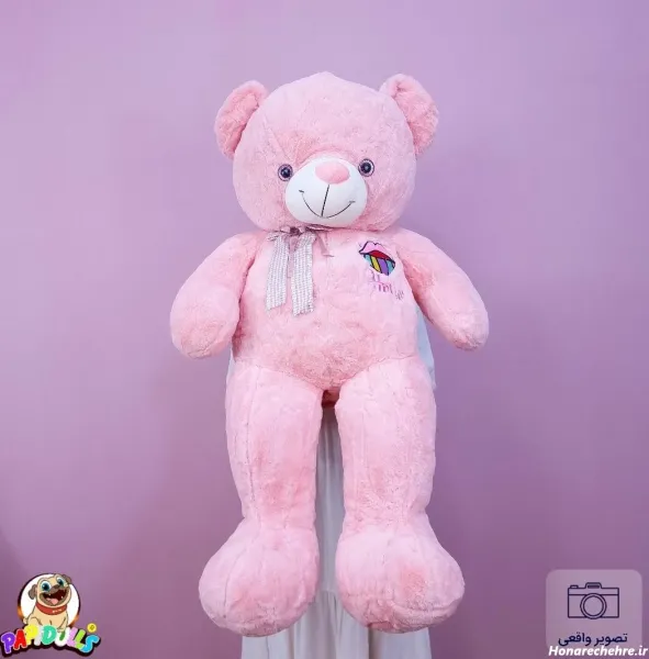  عکس خرس کیوت واقعی