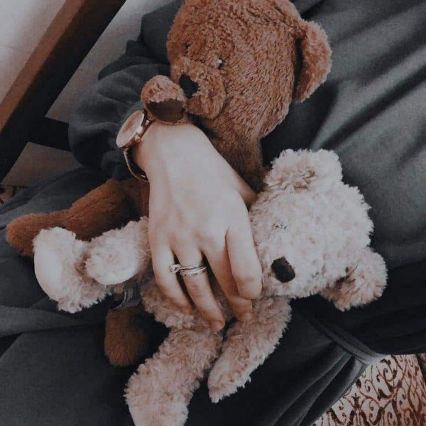  عکس خرس برای پروفایل