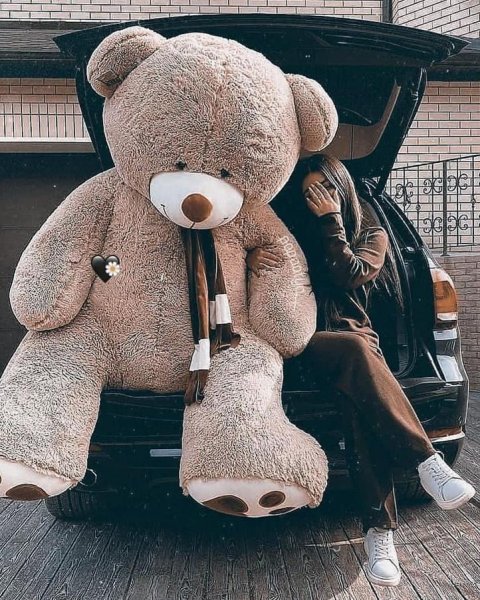  عکس خرس برای پروفایل