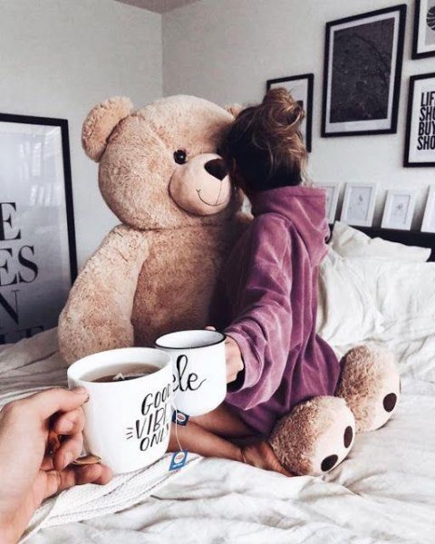  عکس خرس برای پروفایل