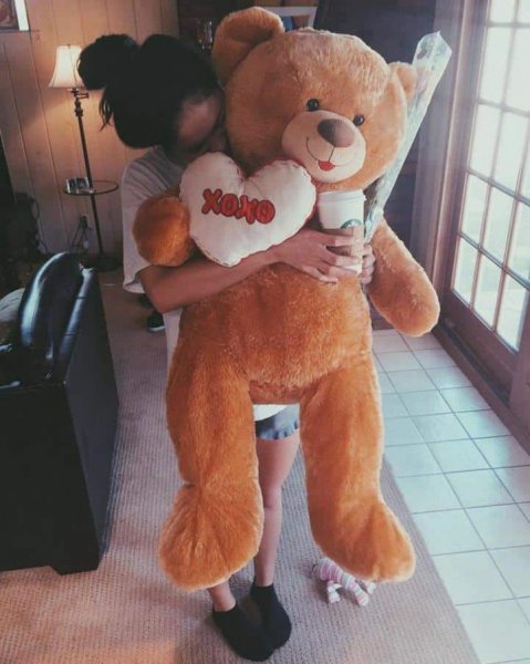  عکس خرس برای پروفایل