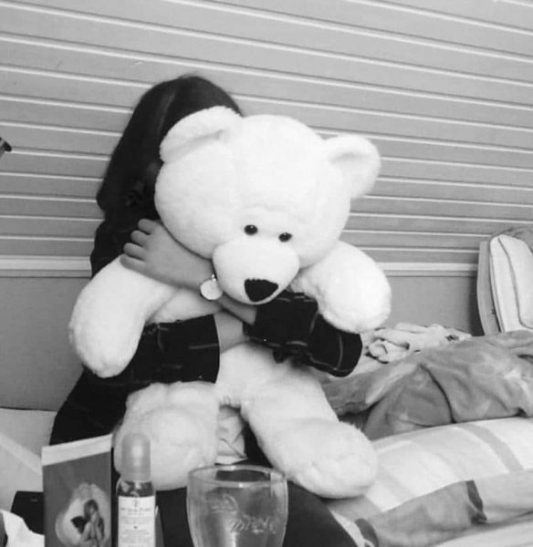  عکس خرس برای پروفایل