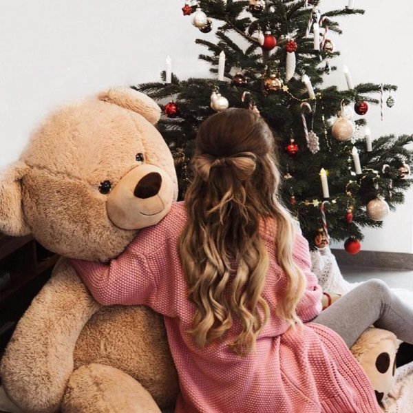  عکس خرس برای پروفایل