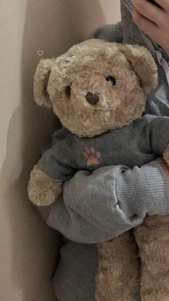  عکس خرس برای پروفایل