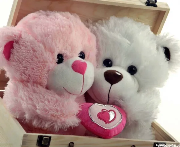  عکس خرس گوگولی