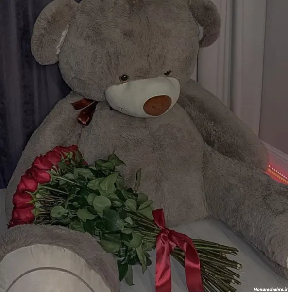 عکس خرس بامزه برای پروفایل