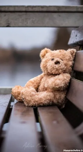 عکس خرس بامزه برای پروفایل