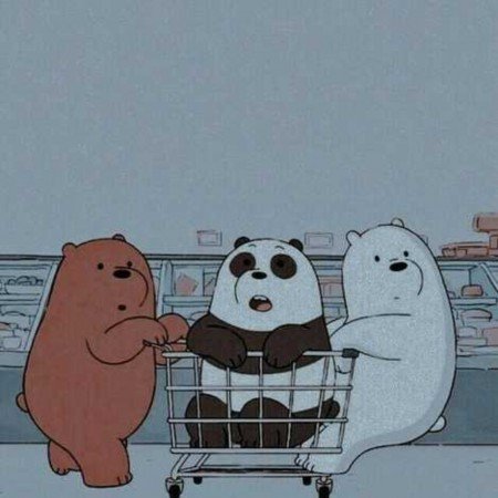  عکس خرس کیوت کارتونی