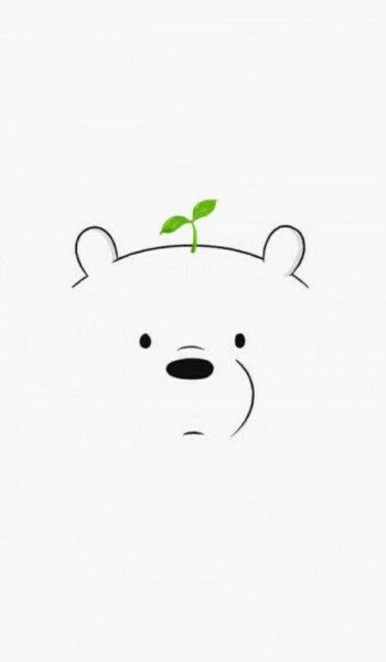  عکس خرس های کله فندقی کیوت