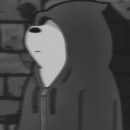  عکس خرس های کله فندقی کیوت