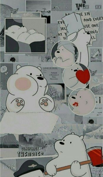  عکس خرس های کله فندقی کیوت