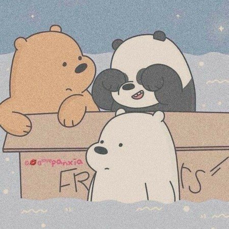  عکس خرس های کله فندقی کیوت