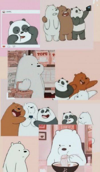  عکس خرس های کله فندقی کیوت