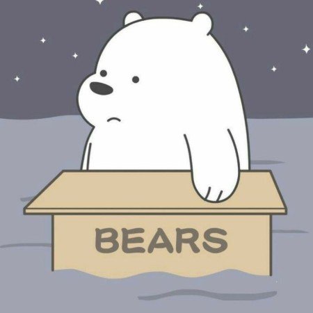  عکس خرس های کله فندقی کیوت