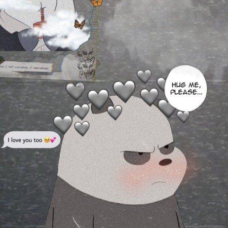  عکس خرس های کله فندقی کیوت