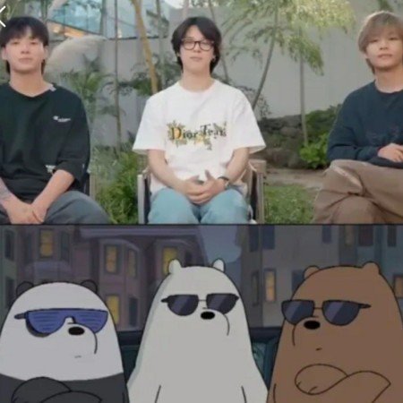  عکس خرس های کله فندقی کیوت