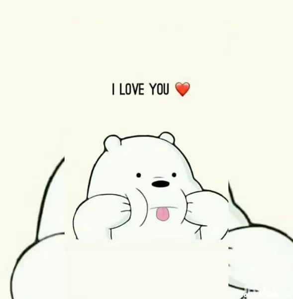  عکس خرس های کله فندقی واقعی