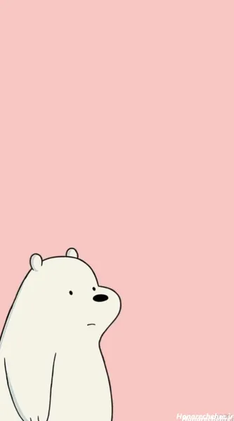  عکس خرس های کله فندقی واقعی