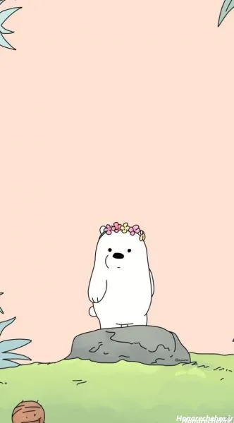  عکس خرس های کله فندقی واقعی