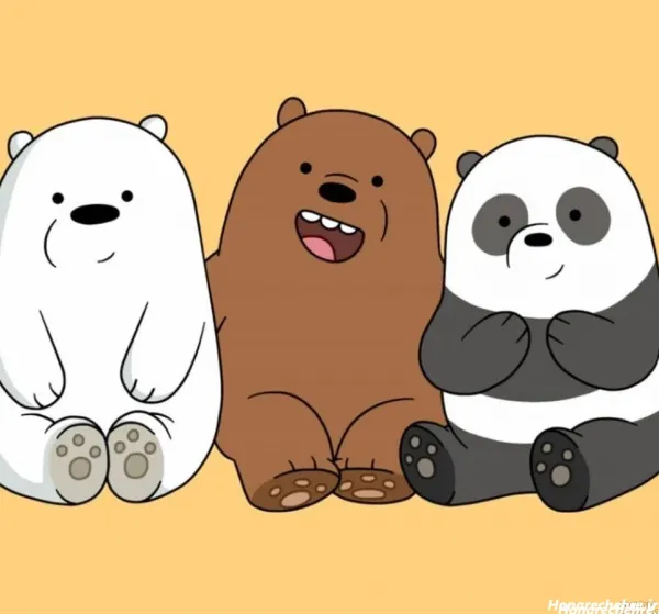  عکس خرس های کله فندقی واقعی