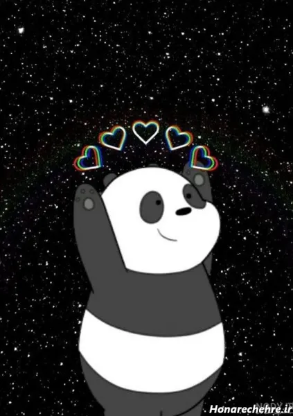  عکس خرس های کله فندقی واقعی