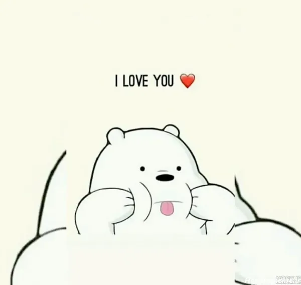  عکس خرس های کله فندقی واقعی