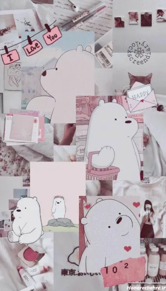  عکس خرس های کله فندقی واقعی