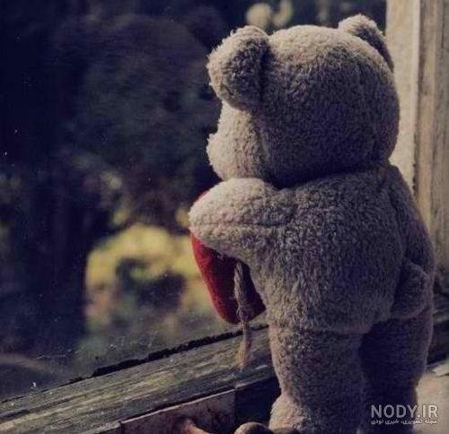  عکس خرس عروسکی