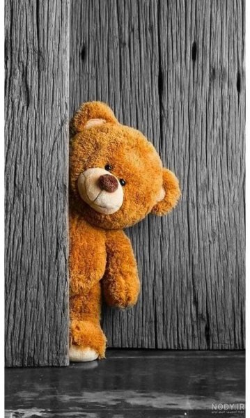  عکس خرس عروسکی