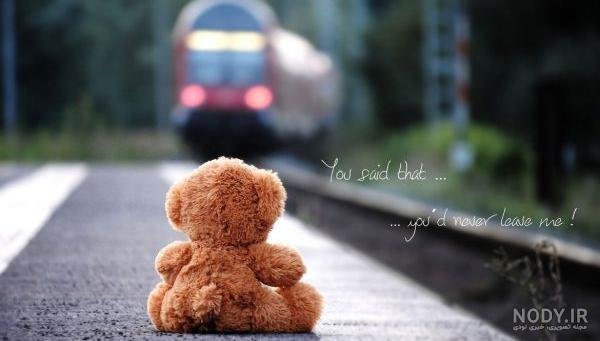  عکس خرس عروسکی