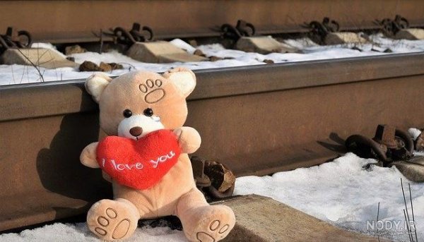 عکس خرس عروسکی عاشقانه