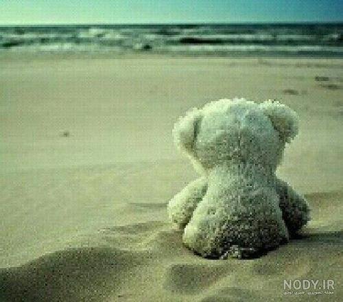 عکس خرس عروسکی عاشقانه