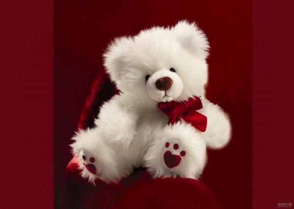 قیمت خرس عروسکی بزرگ دیجی کالا