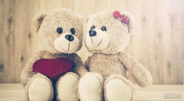  عکس خرس عروسکی بزرگ