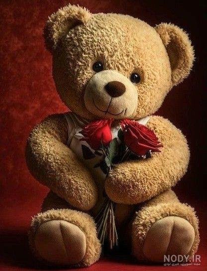  عکس خرس عروسکی بزرگ