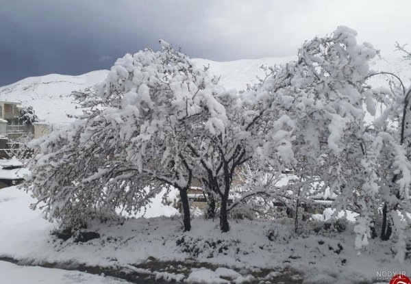 عکس برف در روستا