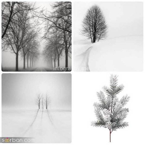 ژست عکاسی تو برف دونفره