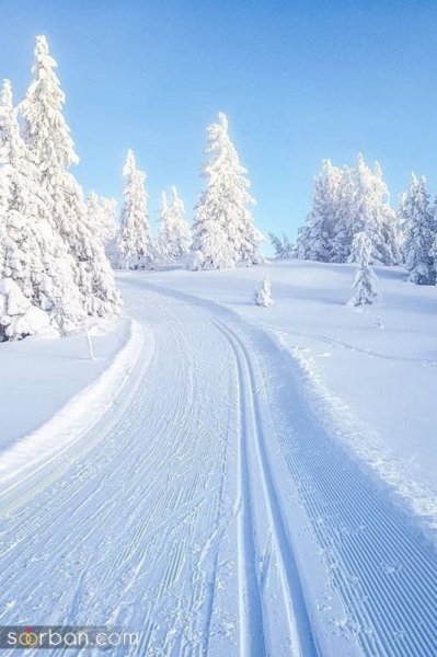  عکس برف واقعی