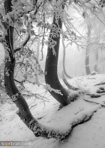  عکس برف واقعی