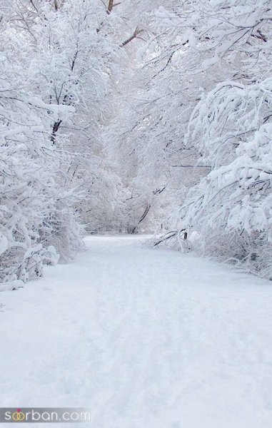  عکس برف واقعی
